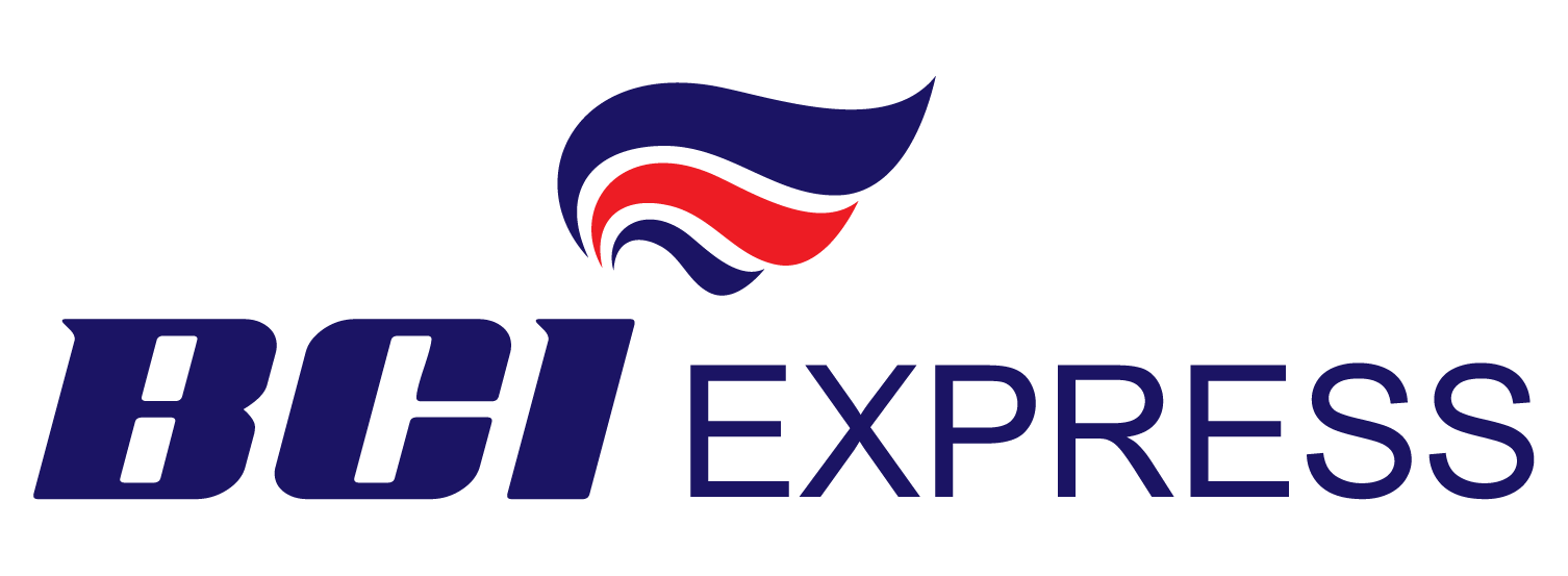 BCI Logo