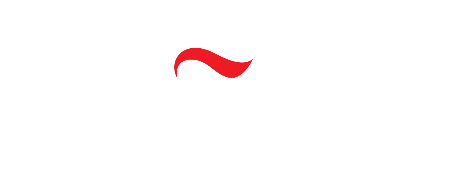 Logo Footer